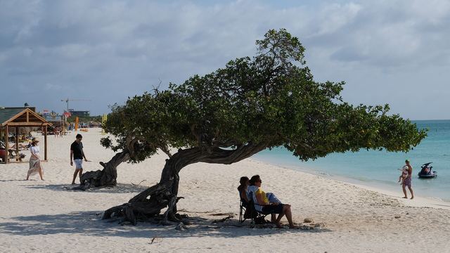 Aruba